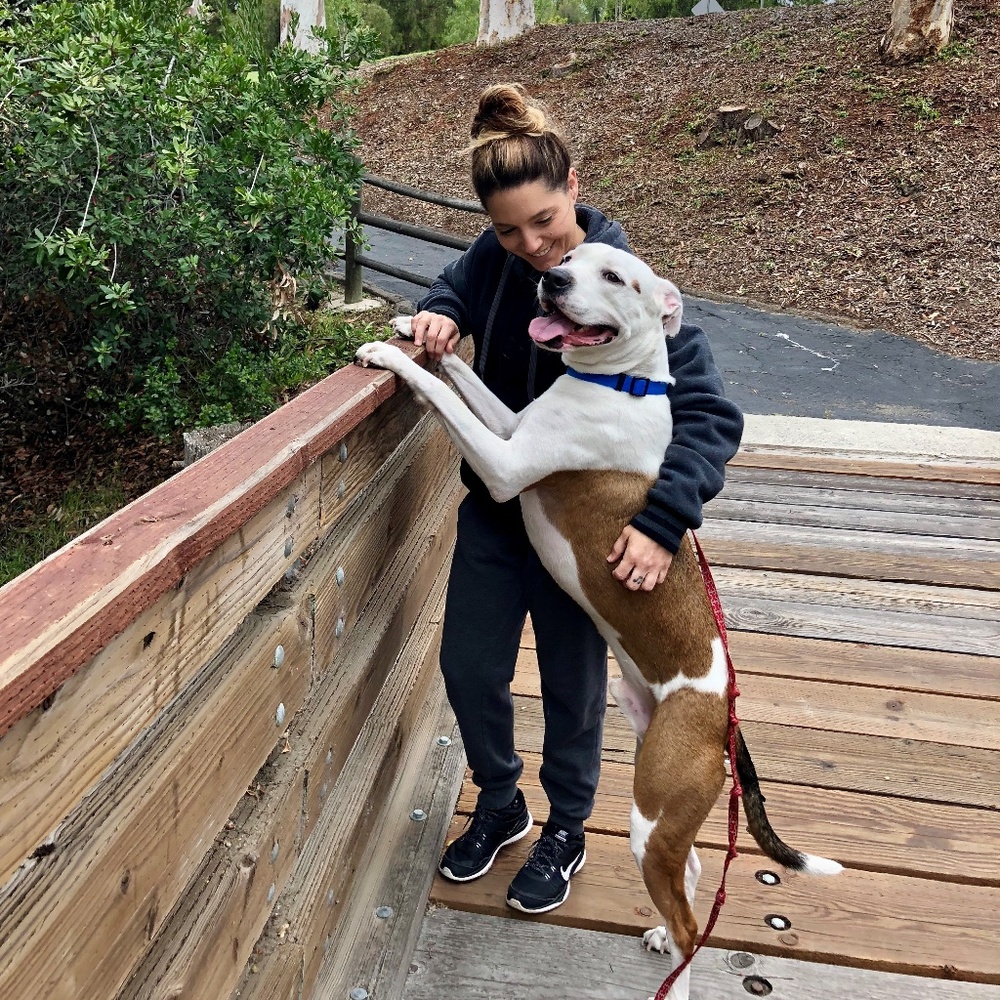 Meet your Posher, Tiffany